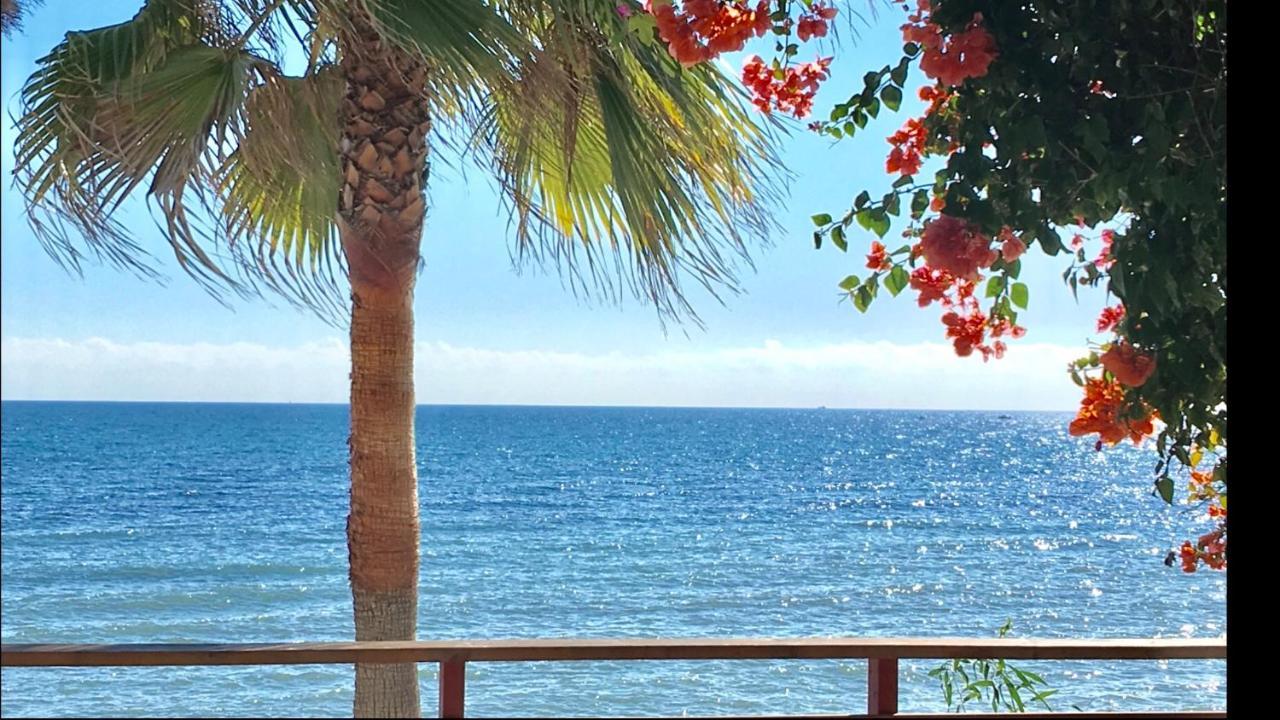 Mijas Costa - Beachside Apartment-B Sitio de Calahonda 외부 사진